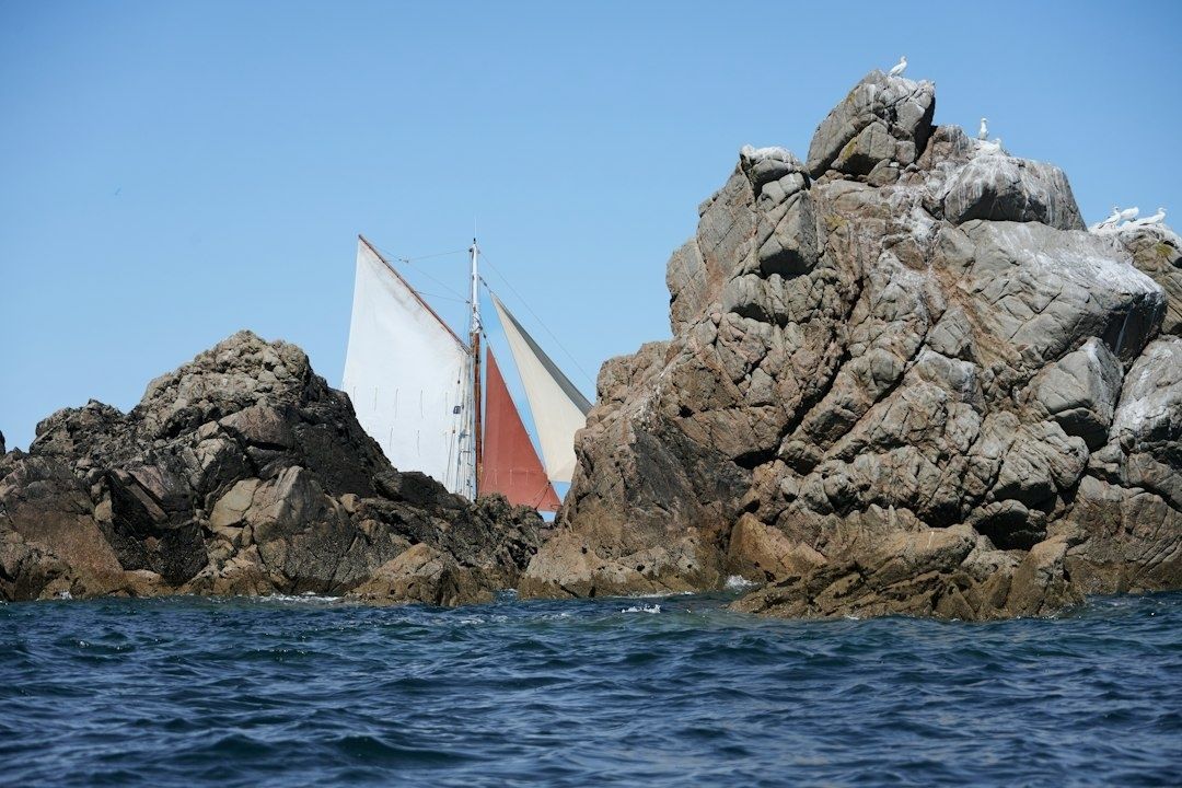 Segelbåt passerar mellan klippor i en naturhamn med fåglar